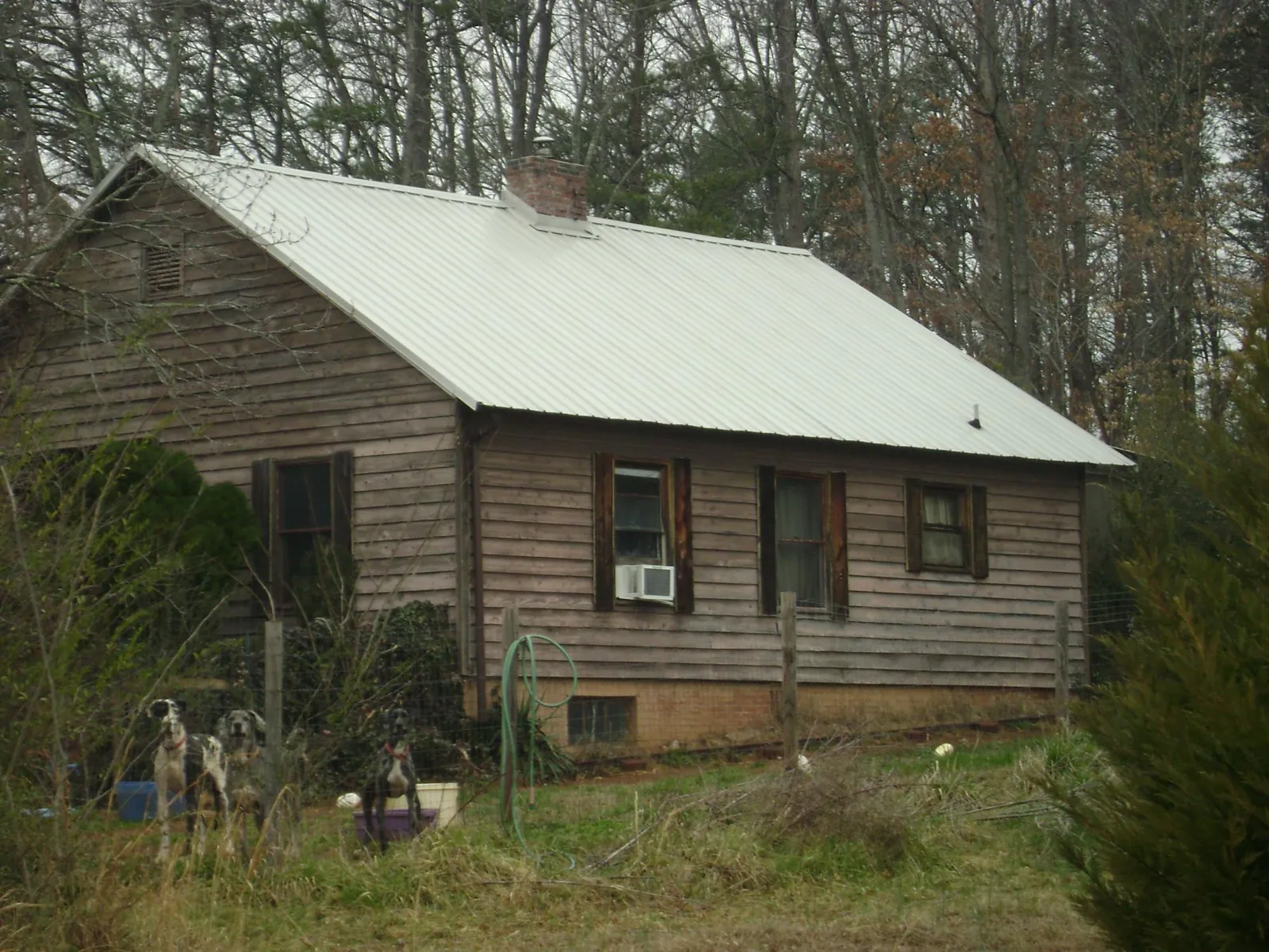 White metal roof on an old wood sided farmhouse, from a Asphalt Shingle Roof Repair job in Talmage